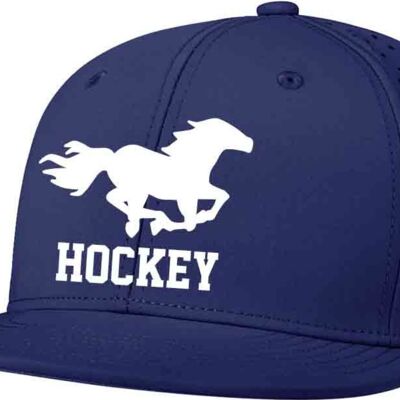 Hampden Academy Fitted Hat Thumbnail